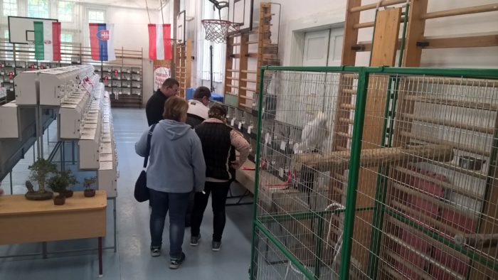 XV. PANNÓNIA KUPA, III. C.O.M. NEMZETKÖZI KIÁLLÍTÁS ÉS MAGYAR BAJNOKSÁG